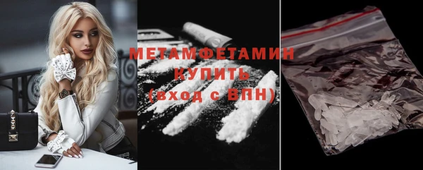 ПСИЛОЦИБИНОВЫЕ ГРИБЫ Горняк