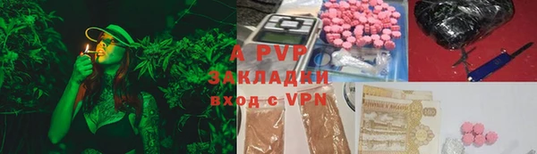 ПСИЛОЦИБИНОВЫЕ ГРИБЫ Горняк