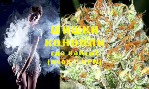 не бодяженный Горно-Алтайск