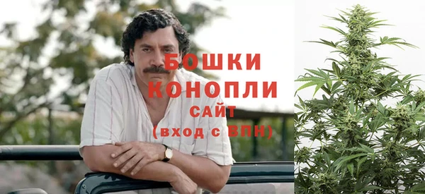 не бодяженный Горно-Алтайск