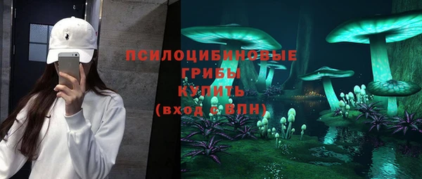 не бодяженный Горно-Алтайск